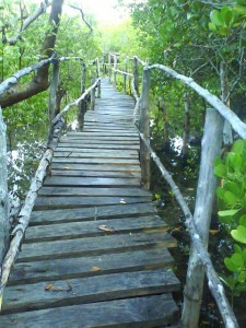 gazi bay boardwalk