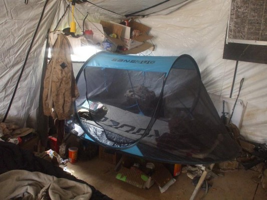 bed net on a military cot in Afghanistan
