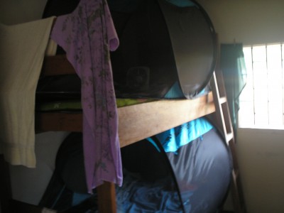bed bug tenting