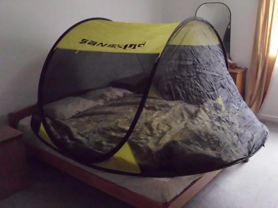 No bedbug bites since sleeping in the tent