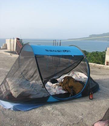 haiti tent