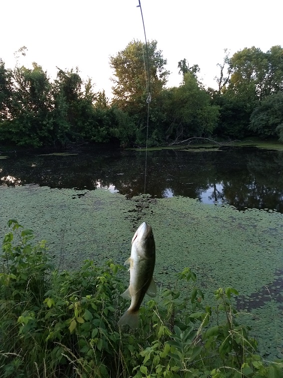 Bass Fishing without the Mosquito Bites - SansBug