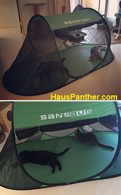 portable cat tent