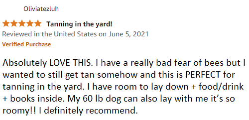 review of mesh tent