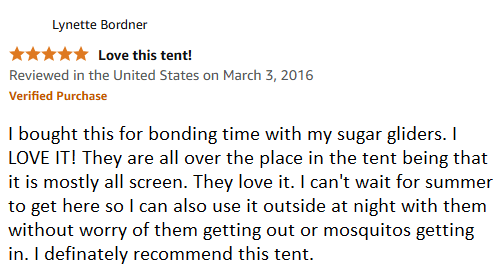 review of screen tent